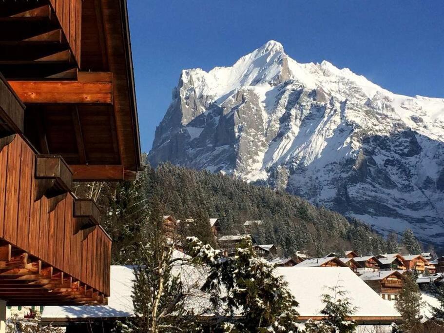 Chalet M 格林德瓦 外观 照片